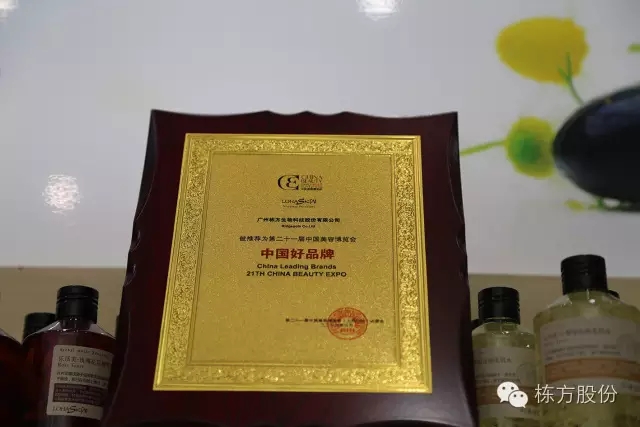 科技引領(lǐng)美麗▏棟方股份榮獲“中國(guó)好品牌獎(jiǎng)”！
