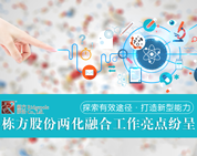 探索有效途徑，打造新型能力——棟方股份兩化融合工作亮點(diǎn)紛呈
